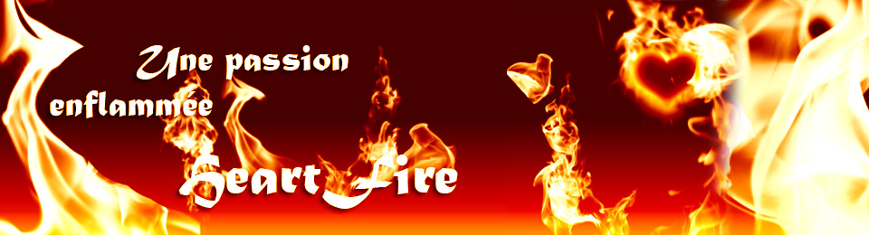 Défilement d'images en lien avec les t-shirts